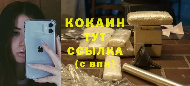 Cocaine FishScale  купить наркоту  Усть-Лабинск 