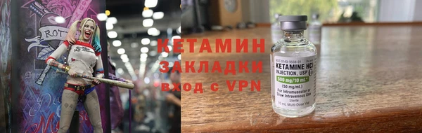 прущие грибы Медвежьегорск