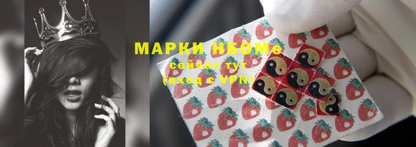 прущие грибы Медвежьегорск