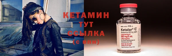 прущие грибы Медвежьегорск