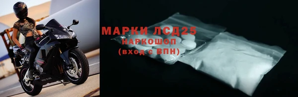 прущие грибы Медвежьегорск