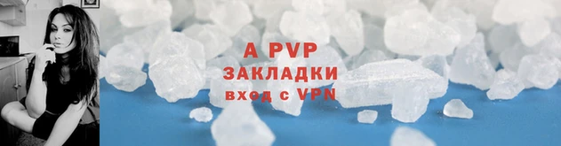 прущие грибы Медвежьегорск