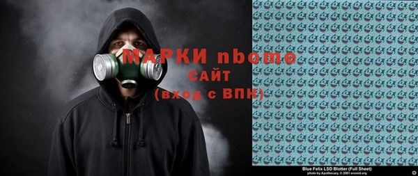 прущие грибы Медвежьегорск