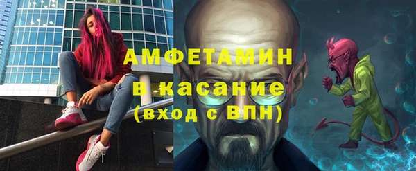 прущие грибы Медвежьегорск