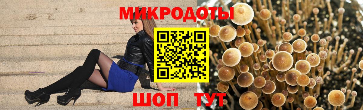 Псилоцибиновые грибы прущие грибы Усть-Лабинск