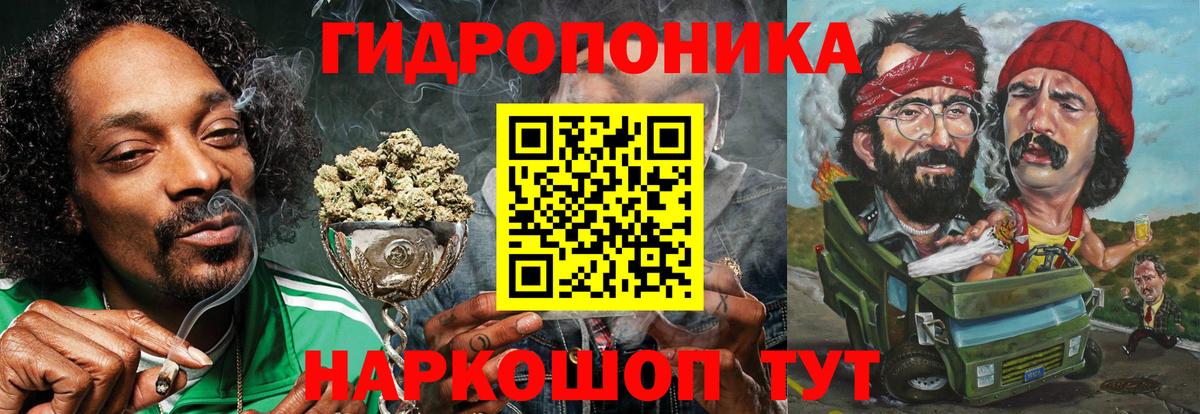 Шишки марихуана марихуана Усть-Лабинск
